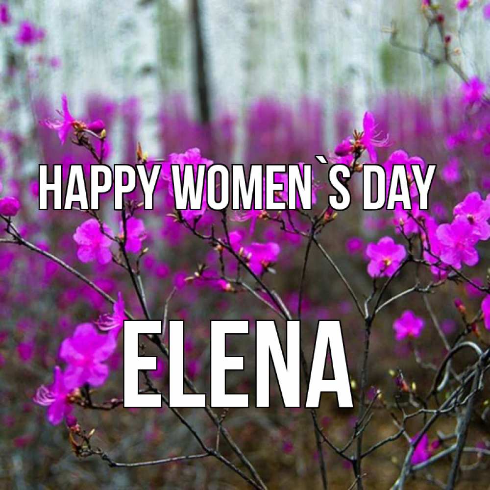 Greetings card с именем, Elena happy women`s day дикие цветы Greetings with text for free download 